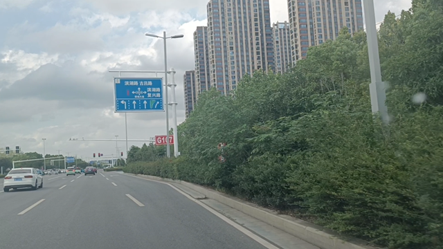 綠化帶瘋長(zhǎng)遮擋視線(xiàn) 市民呼吁及時(shí)修剪消除隱患